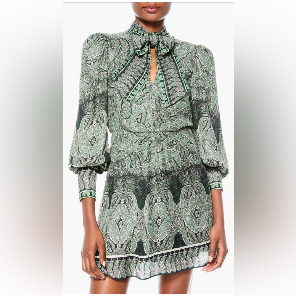 Alice + Olivia Dress